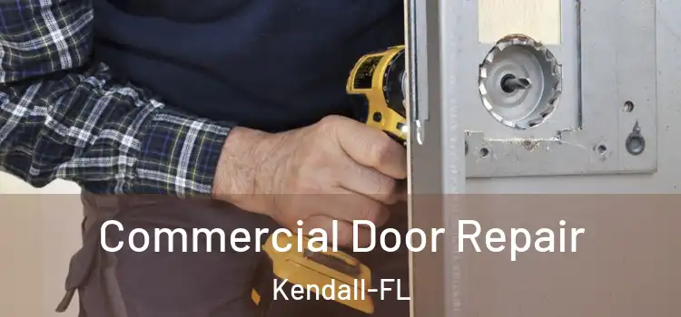  Commercial Door Repair Kendall-FL