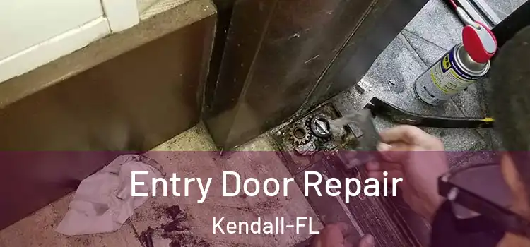  Entry Door Repair Kendall-FL