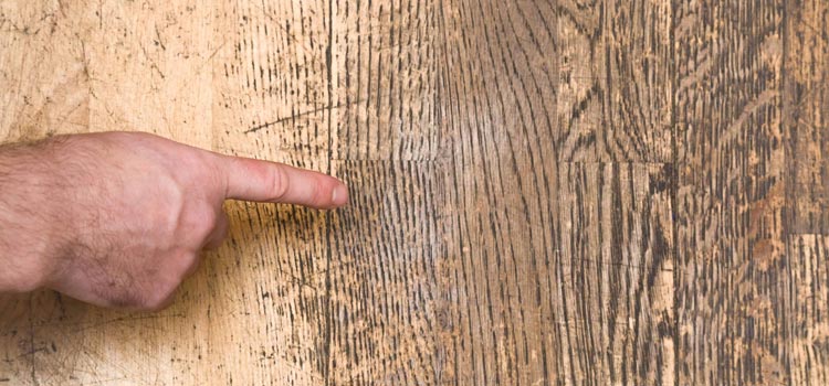Wood Door Scratch Repair in Kendall